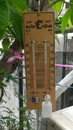 木板乾濕度計